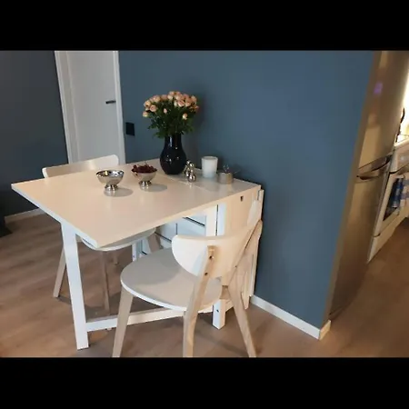 For Rent 1 Minute Walking To Dnb Arena During Ons *